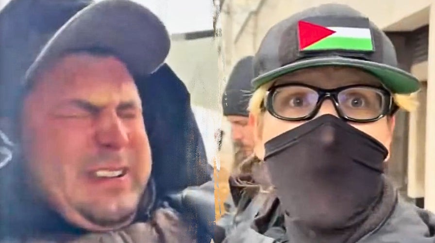 Conservative writer  and influencer pepper-sprayed astatine  Dearborn protest