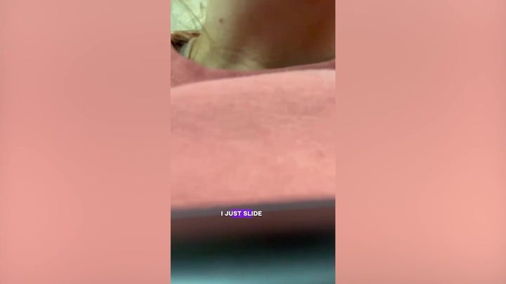 Blind passenger caught in tense in-flight showdown over ‘service dog’ in viral video