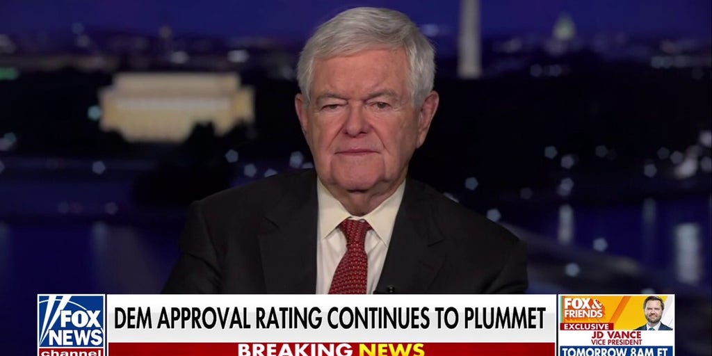Newt Gingrich explains why Trump's reciprocal tariffs plan 'makes perfect sense' for US