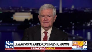 Newt Gingrich explains wherefore  Trump's reciprocal tariffs program  'makes cleanable   sense' for US - Fox News