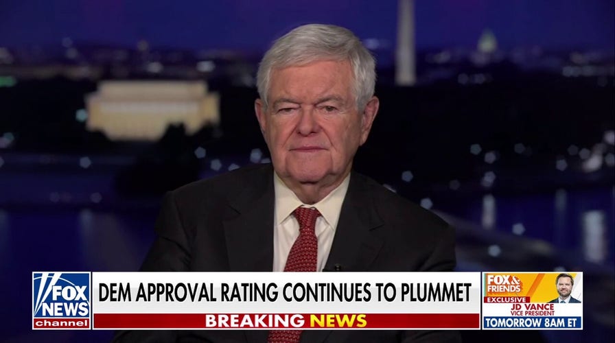 Newt Gingrich explains why Trump's reciprocal tariffs plan 'makes perfect sense' for US