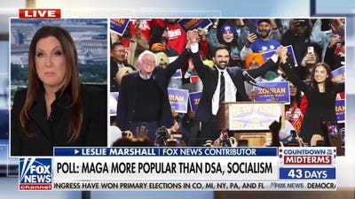 Poll shows MAGA more popular than DSA, socialism as debate over Democrats' future intensifies