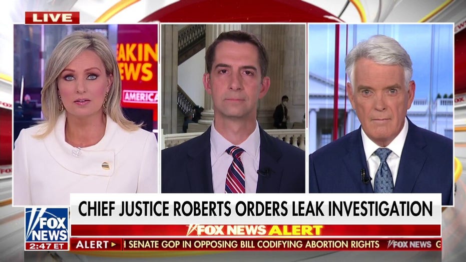 Sy. Cotton rips Supreme Court leak: Democrats 'don't believe in the rule of law'