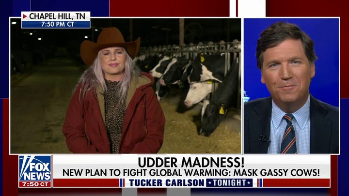 There’s no way I’m putting a diaper on my cow: Farmer Stephanie Nash