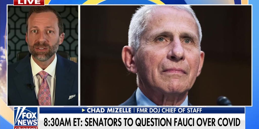 Dr. Fauci's contradictory diary entries explode ahead of testimony
