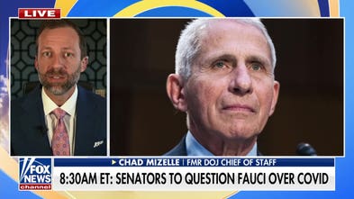 Dr. Fauci's contradictory diary entries explode ahead of testimony