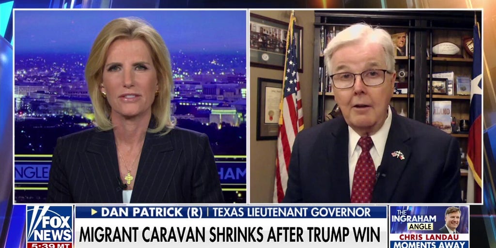 Texas lieutenant governor vows, 'We are going to close this sucker down'