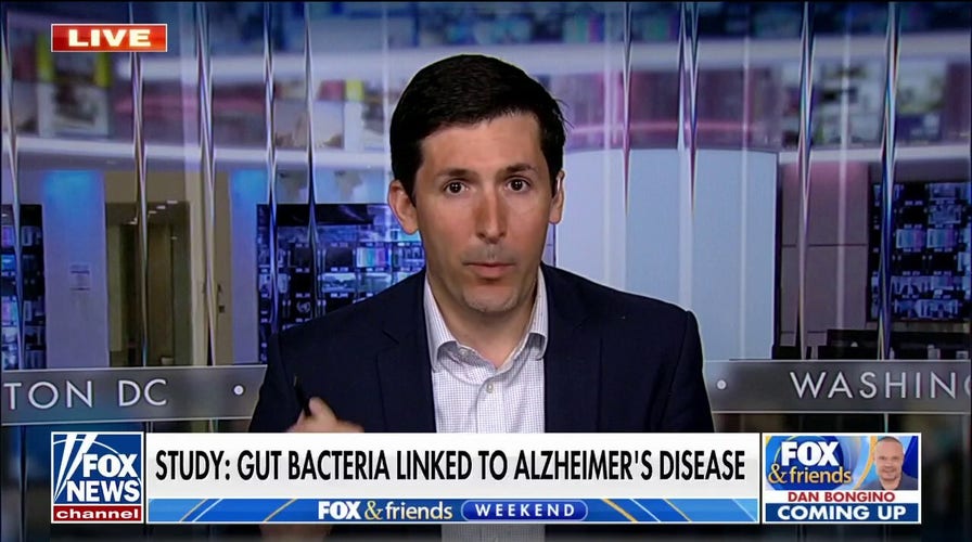 New study links gut bacteria to Alzheimer's