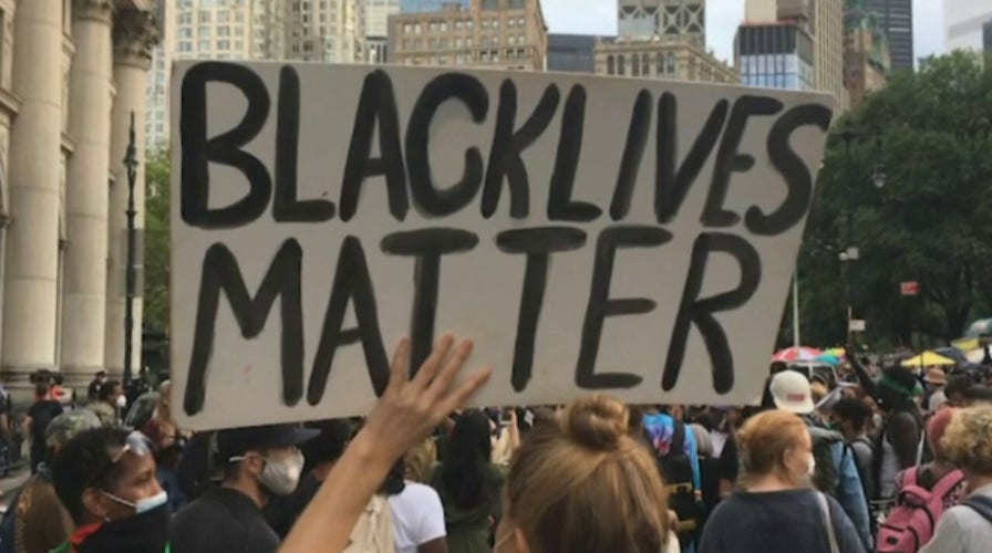 Kim Klacik slams BLM: 'Leveraged urban struggles for self-enrichment'