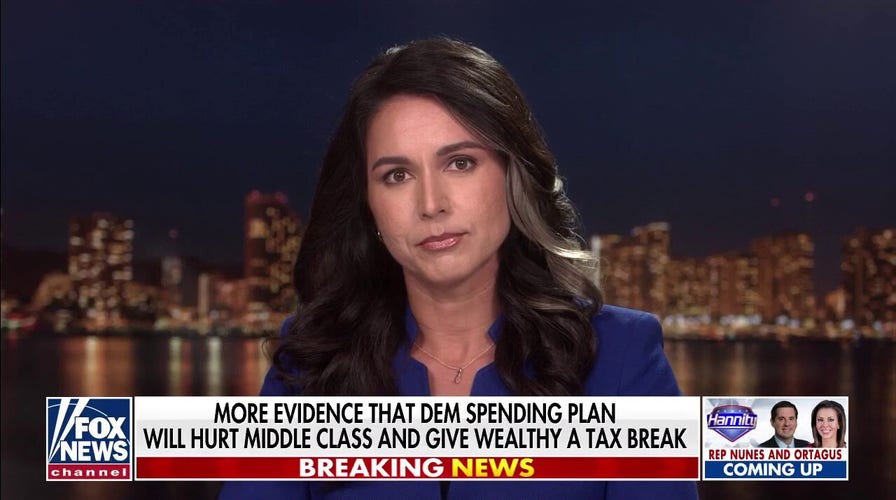 Democrats and Republicans 'too busy squabbling with each other': Gabbard