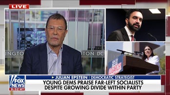Democratic support of socialist leaders is a 'suicide march,' strategist warns