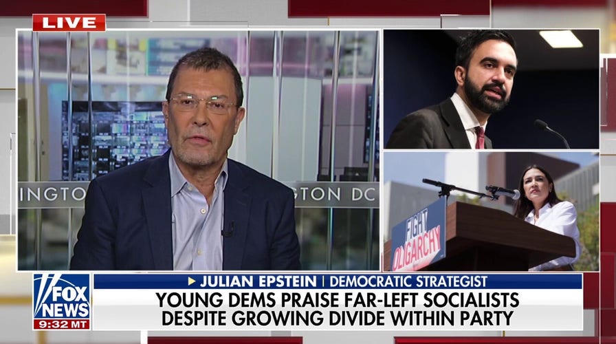 Democratic support of socialist leaders is a 'suicide march,' strategist warns