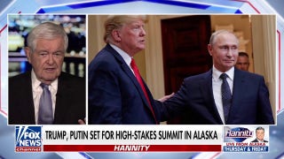 Every time you turn around Trump is doing something 'entirely amazing,' says Newt Gingrich
