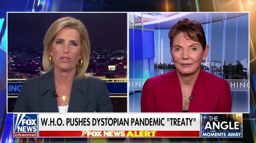 W.H.O. is pushing a 'global totalitarian surveillance state': Reggie Littlejohn