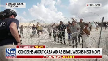 Desperate Gazans form 'human tidal wave' as they swarm aid site