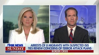 Undocumented immigration is ‘a threat’ to national security: Jim Himes - Fox News