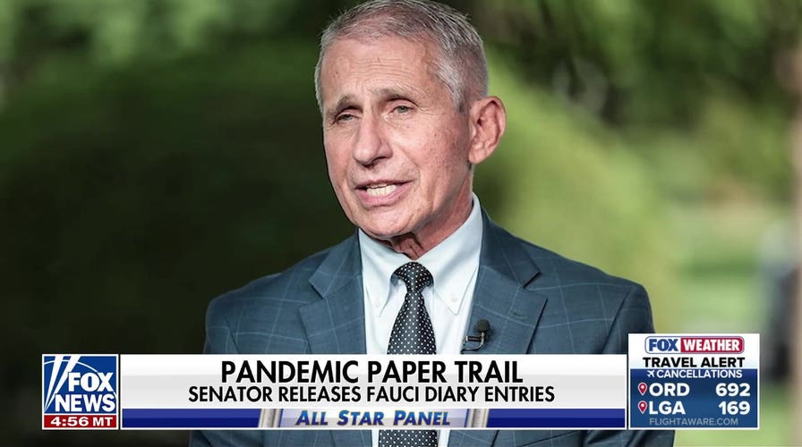 Trump is 'married to tariffs': Former Andrew Cuomo chief of staff