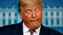Liberty Vittert: Trump is wrong — pollsters didn’t deliberately make inaccurate election forecasts
