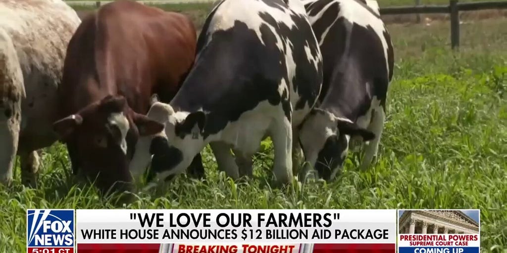 Trump admin pledges one-time payments to crop farmers struggling amid trade disputes