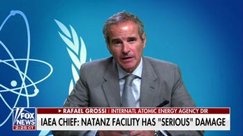 IAEA director: Iran's nuclear program has been set back 'significantly'