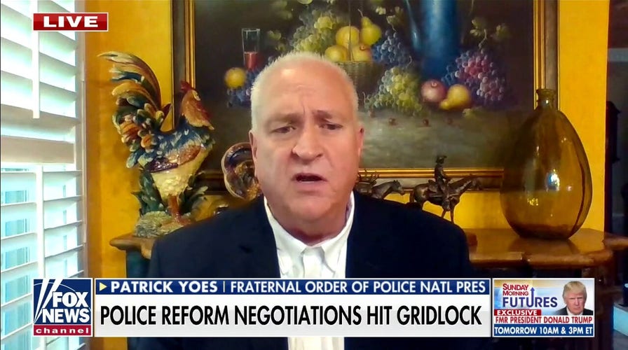 Ambush attacks on police have become a ‘trend,’ murder rates ‘through the roof’: Fraternal Order of Police president