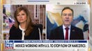 Mexican ambassador responds to allegations of anti-ICE coordination efforts