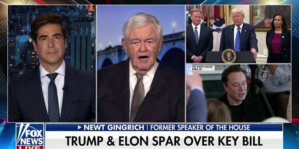 Newt Gingrich: This is the 'soap opera' phase of American politics | Fox News Video