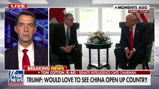 Sen. Cotton touts Trump's 'undeniable hot streak' after EU trade deal