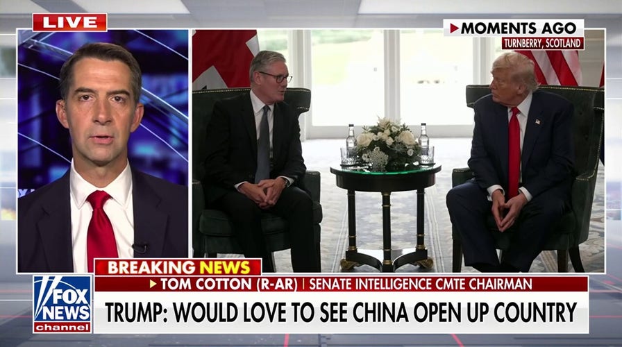 Sen. Cotton touts Trump's 'undeniable hot streak' after EU trade deal