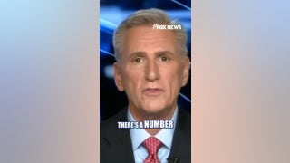 Kevin McCarthy: The Democratic Party has 'lost it'