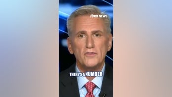Kevin McCarthy: The Democratic Party has 'lost it'