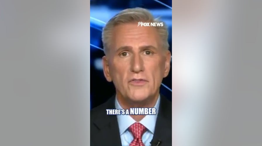 Kevin McCarthy: The Democratic Party has 'lost it'