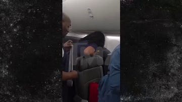 American Airlines passenger duct-taped to seat after alleged midair outburst