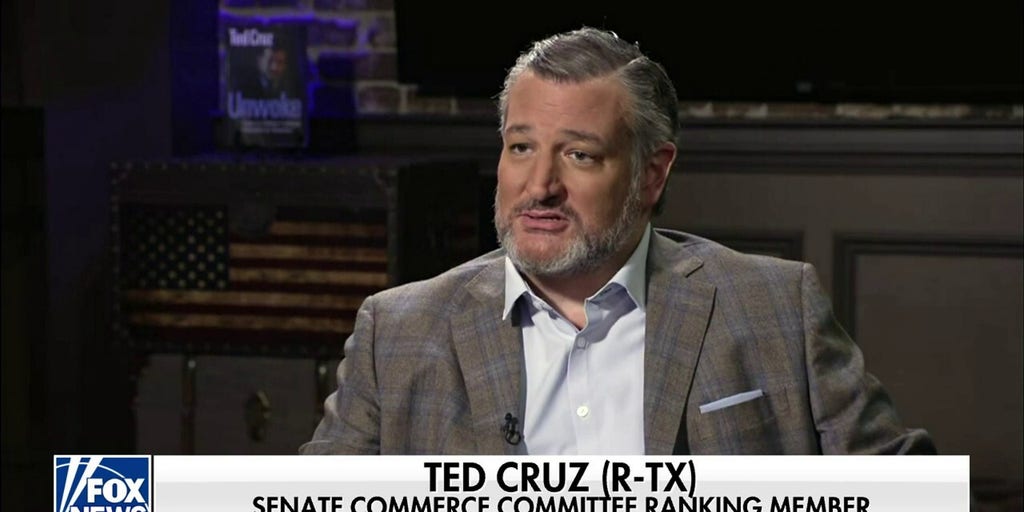 Ted Cruz On 2024 Elections: 'We're Going To Face Over $100 Million ...