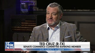 Ted Cruz on 2024 elections: 'We're going to face over $100 million against us' - Fox News