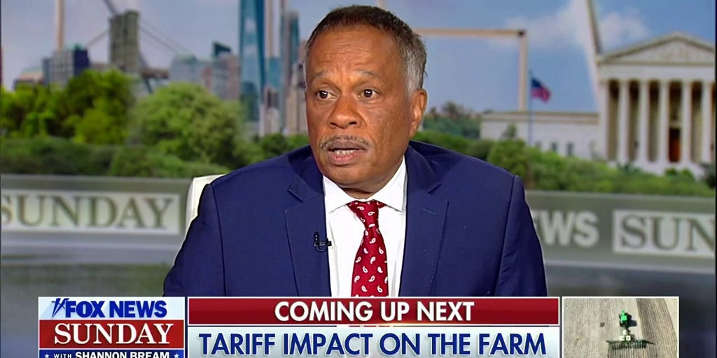 Maryland man's immigration case must have 'due process': Juan Williams