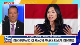Acting ICE director fires back at Boston mayor for neo-Nazi comparison: 'Completely disgusting'