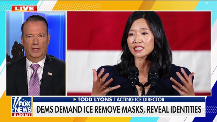 Acting ICE director fires back at Boston mayor for neo-Nazi comparison: 'Completely disgusting'
