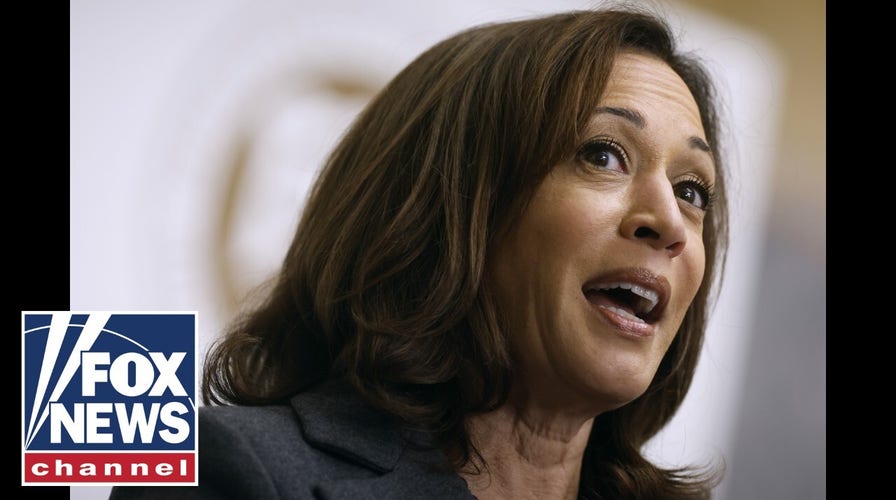 Kamala Harris ‘needs to do her job’: Border rancher struggles to secure his ranch from migrants