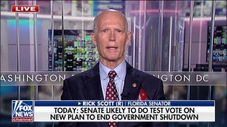 Senate could do test vote on new spending bill to end government shutdown