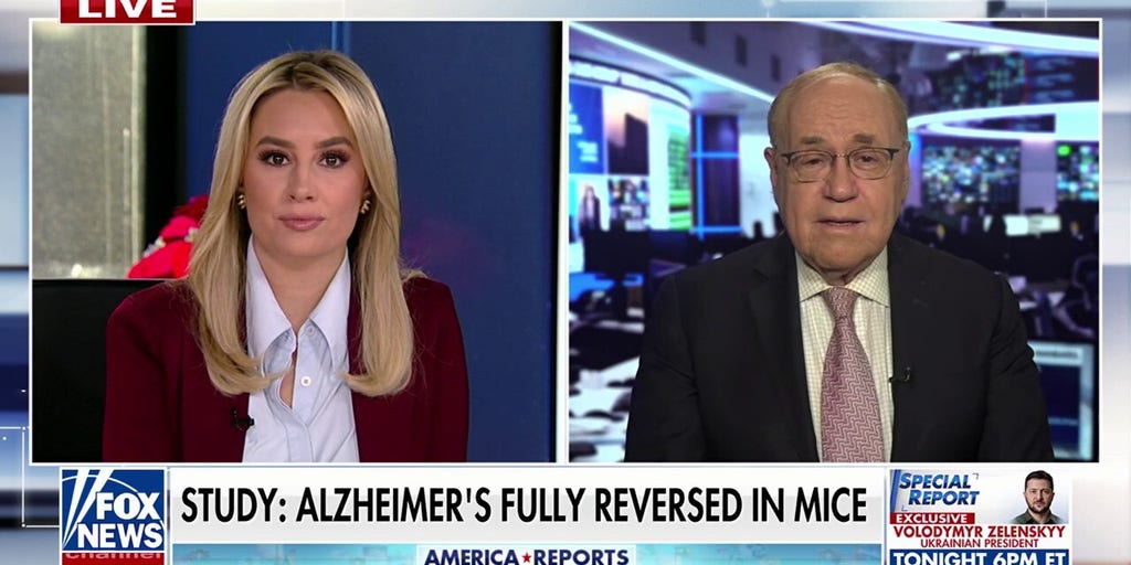 Alzheimer’s could be reversed by restoring brain balance, study suggests