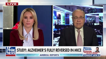 Alzheimer’s could be reversed by restoring brain balance, study suggests