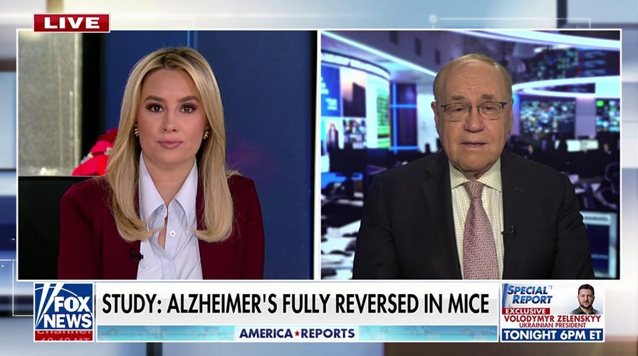 Alzheimer’s could be reversed by restoring brain balance, study suggests