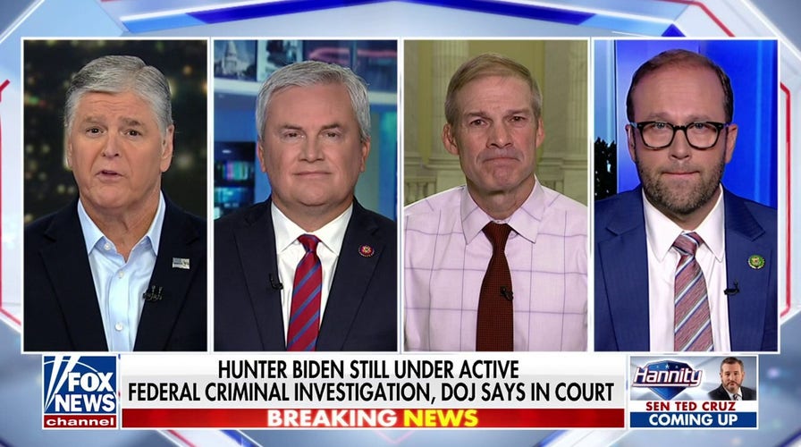 James Comer: Hunter Biden's plea deal collapse a 'victory for justice in America'