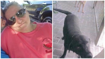 Alex Murdaugh recounts death of family's longtime housekeeper Gloria Satterfield