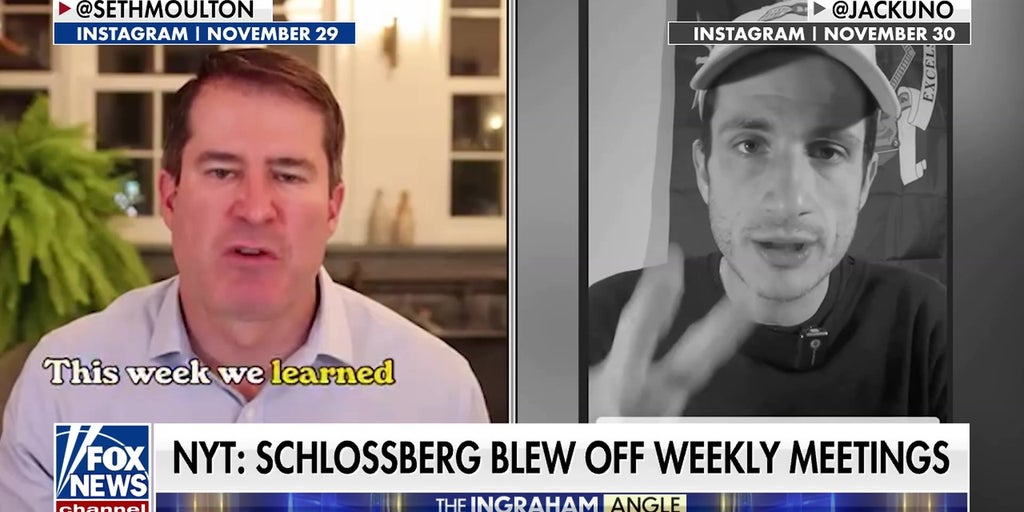 Political analyst says Schlossberg has some ‘serious problems’ as the Kennedy heir’s campaign flops
