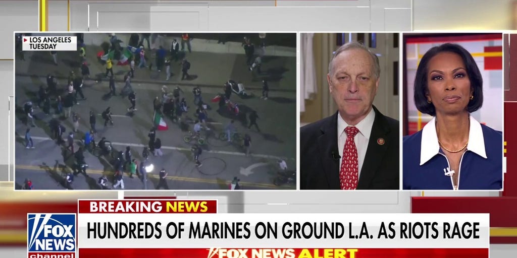 GOP lawmaker calls anti-ICE riots ‘highly coordinated’ amid alleged links to Democratic groups