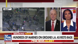 GOP lawmaker calls anti-ICE riots ‘highly coordinated’ amid alleged links to Democratic groups
