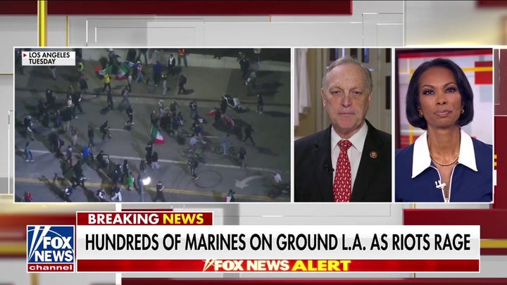 GOP lawmaker calls anti-ICE riots ‘highly coordinated’ amid alleged links to Democratic groups