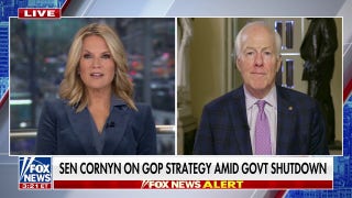 Only need ‘about 5 more’ Democrats to pass Senate bill: Sen. John Cornyn